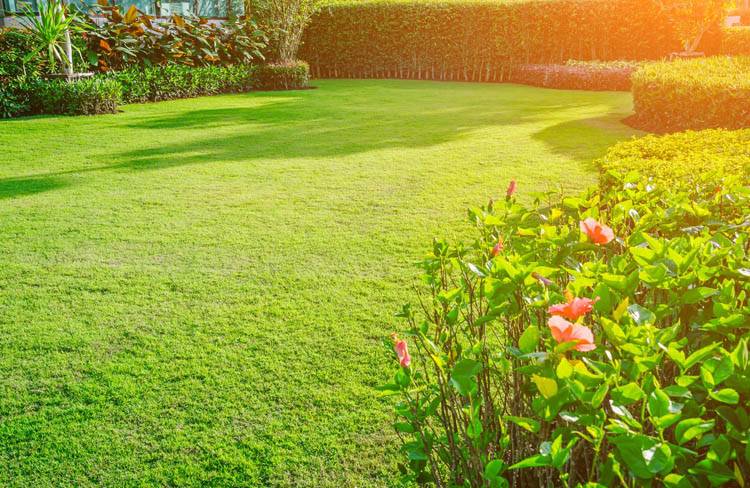 Entretien de jardin Cannes